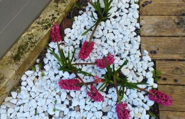 Studio en plein coeur du village - Foto 17