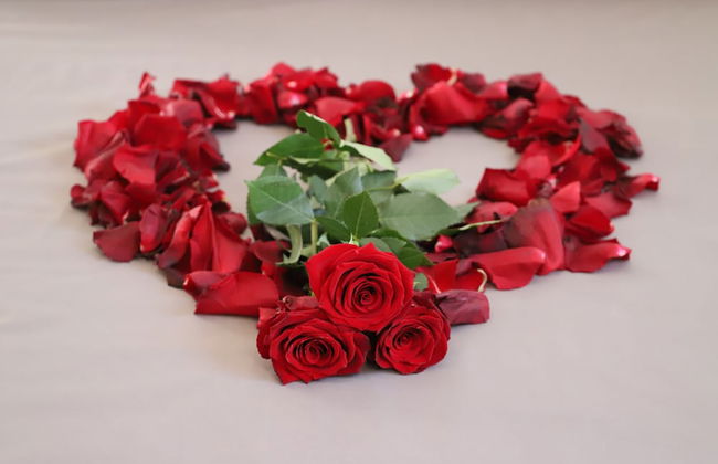 Calma Eco Houses - Foto 11