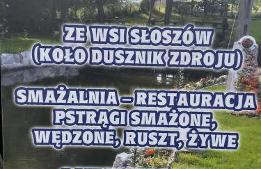Altana całoroczna Vira numer 7 Herbergerówka Agroturystyka na wsi - Foto 35