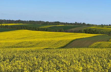 W Kręgu Natury - Foto 38