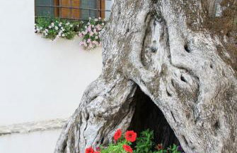 Santo Mercurio Country House - Foto 50