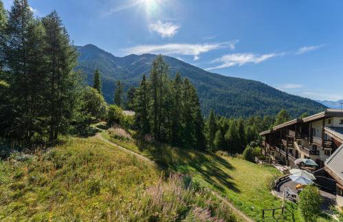 Chalet les arolles - Foto 22