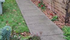 Beautiful cozy studio - Foto 3