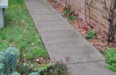 Beautiful cozy studio - Foto 3