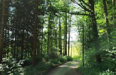 Altes Otto Haus - Foto 63