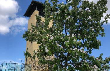 Jakobsruhe - Ferien im Weinparadies - Foto 21