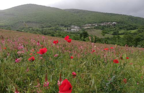 Casa Galoppa - Foto 24