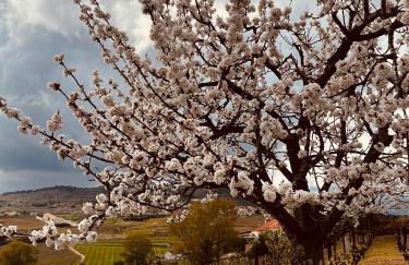 Casa Do Cruzeiro Apartment - Foto 36