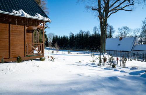 Alpejskie domki Karkonosze - Foto 22