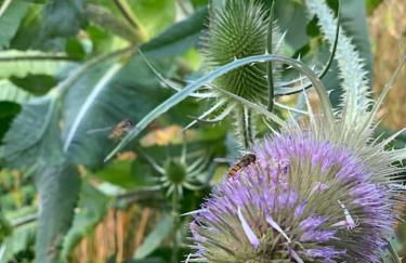 Strandlust Döbeln - Bungalow für eine gemütliche Auszeit zu jeder Jahreszeit - Foto 34