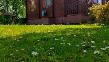 Ferienhaus Turner - Photo 3, Garden, Garden view