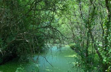 La petite maison zone coulée verte menant a l'océan - Photo 38
