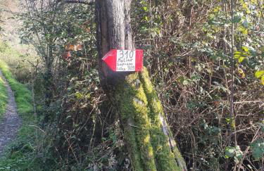 Fattoria Cristina Bilo Rosa - Foto 34