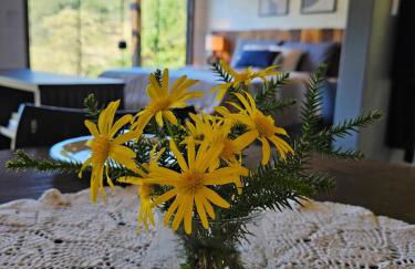 Rio Acima Perfect Housing Rancho Queimado - Foto 15