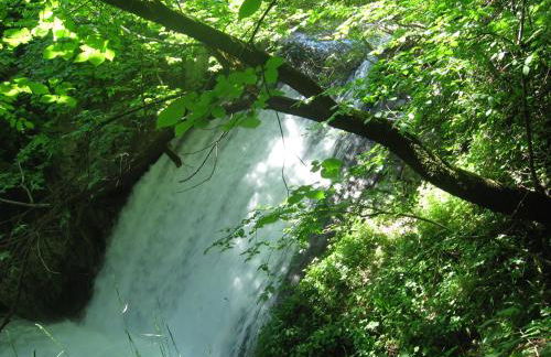 Parco Sogni d'Oro - Photo 52