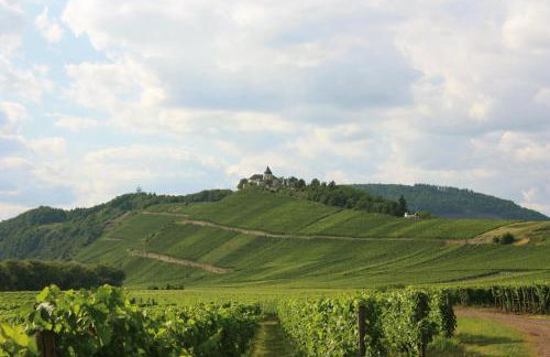 Gästehaus Herda - Foto 23