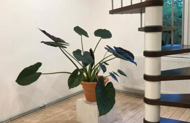 Gästehaus pack of patches - Foto 13