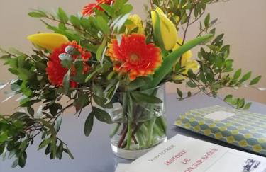 La Maison aux volets bleus 37 m3, Bords de Saône - Foto 20