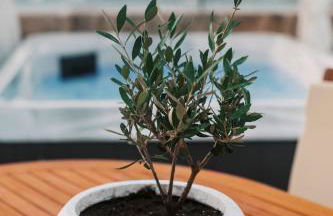 Lindos Zen luxury villa - Photo 16