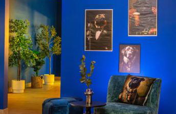 Casino 2 - Sauna Whirlpool Game-Zone - Foto 7