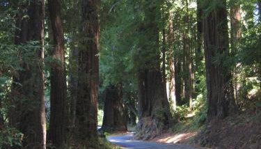 Pescadero Creek Inn - Foto 4