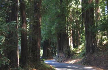 Pescadero Creek Inn - Foto 4