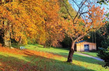 Adorable petit châlet près de la forêt et des commerces - Foto 22
