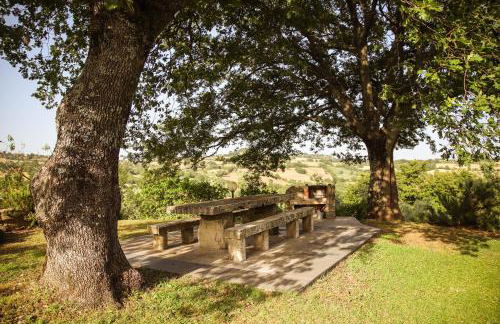 Bio Agriturismo Poggio Aione - Foto 10