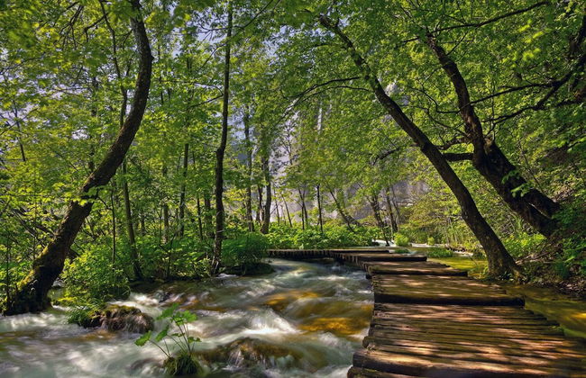 Indian Village Tipi Tent - Photo 19