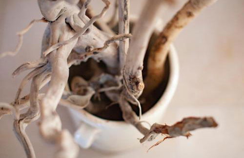 LA TERRAZZA DI PUGLIA - Foto 23