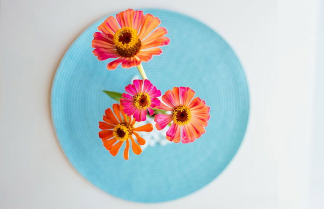 Sea View Luxury Apartments - Foto 6