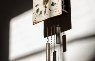 Schwarzer Adler - Concept Living - Foto 4