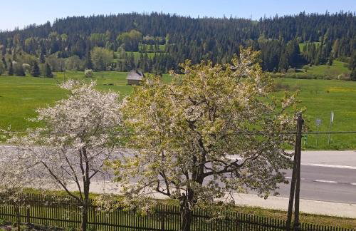 Dwa Widoki Apartamenty - Foto 5
