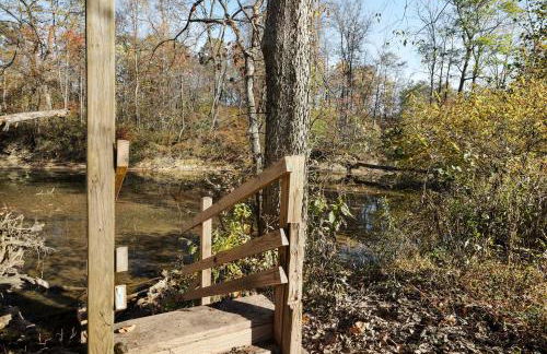 Riverfront w Deck Grill Fire pit & Climbing Wall - Photo 5