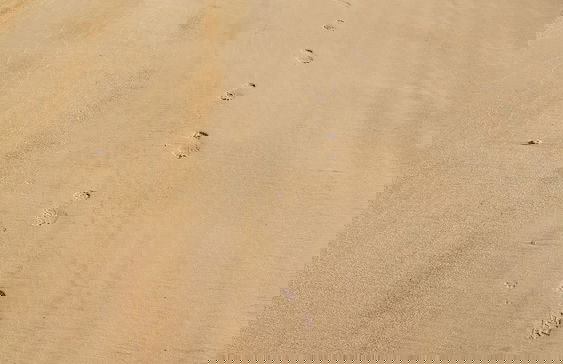 Hurakabra River Resort - Foto 13