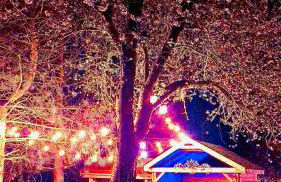 Whiskers and Woods Shepherd Hut - Foto 27