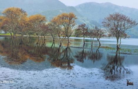 Casa da Ermida - Photo 11