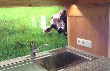 Berghof Heger - Foto 19