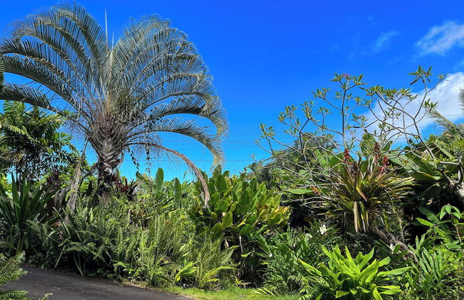 Gingerhill Farm Retreat - Foto 56