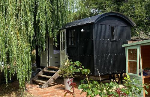 Bredy Cottages - Foto 43