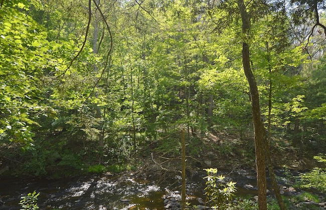 Rosies Creekside Retreat - 3 BR Escape! - Foto 48