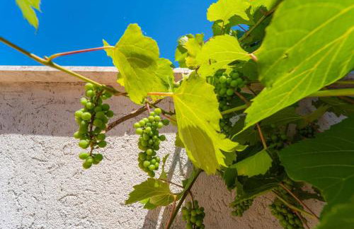 Holiday Home Carla and Dajana - Photo 37