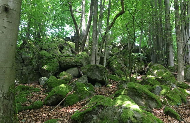 Cozy Apartment in Ellar With Garden - Foto 70