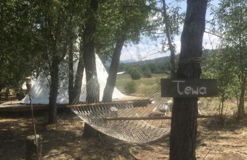 Taos Goji Farm & Eco-Lodge Retreat - Foto 30