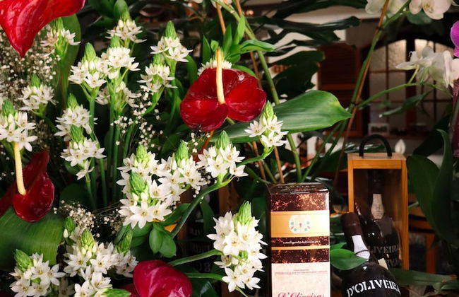 MIO Apartment by Homie - Foto 1