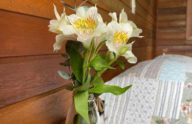 CHALÉ DOS ALPES VERDES - Foto 15