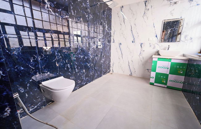 Shivv's heritage inn - Foto 45