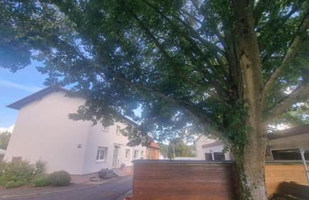 Unter der Linde - Foto 21