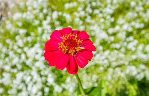 Alpine 4 Bedroom Retreat with Hot tub and Pool table - Foto 36