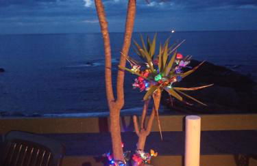 Pura vida Estaño - Foto 21